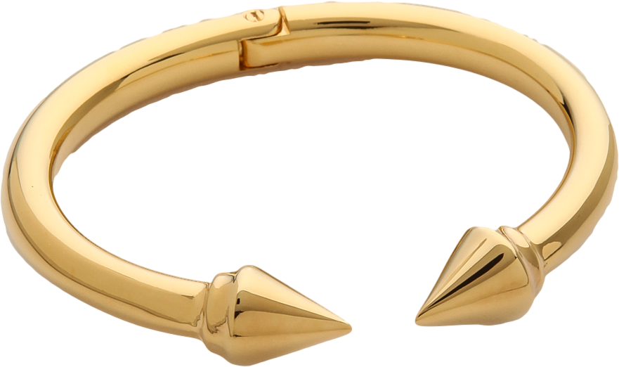 Titan Bracelet