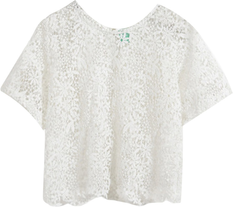 Lace Crochet Flower Short Sleeve Top