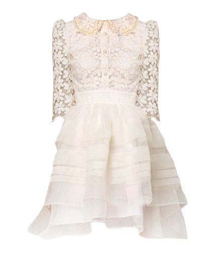 Collared Lace Tulle Dress
