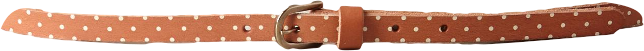 Polka Dot Skinny Belt