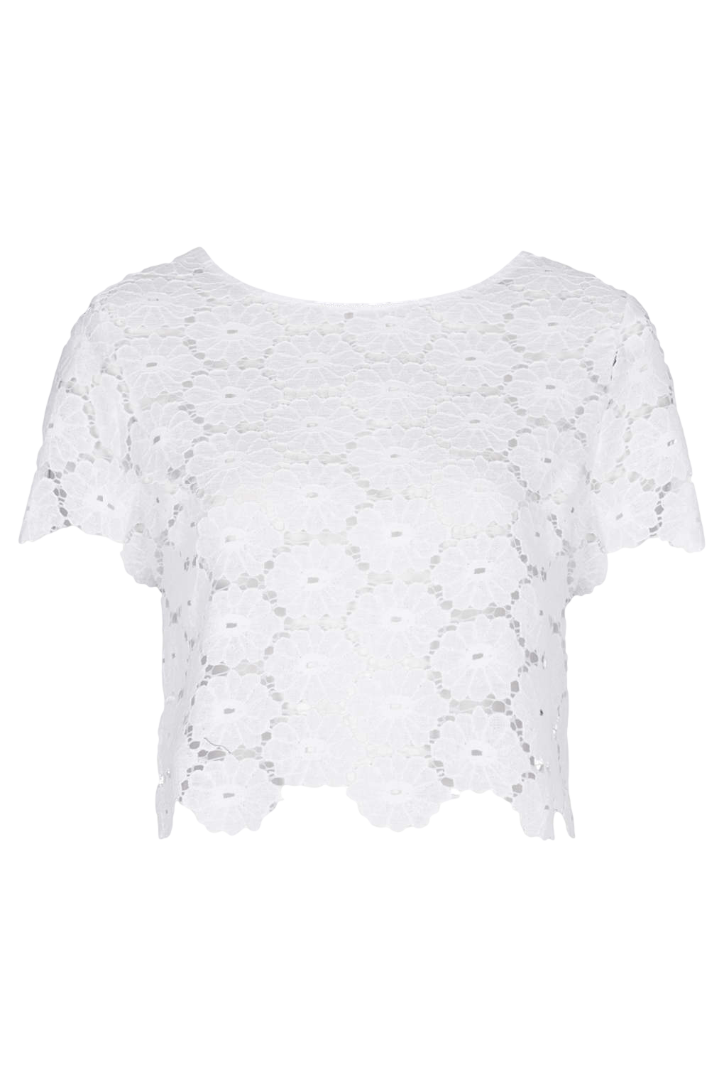 Petite Exclusive Lace Tee