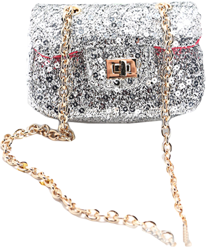 Silver Sequined Mini Across Body Bag with Chain Strap