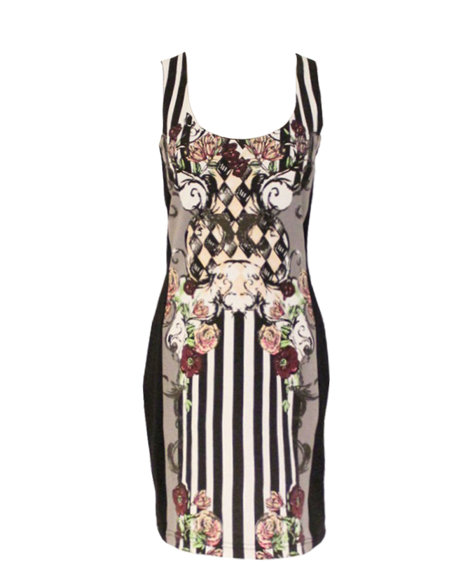 Floral and Striped Bodycon Tank Dress