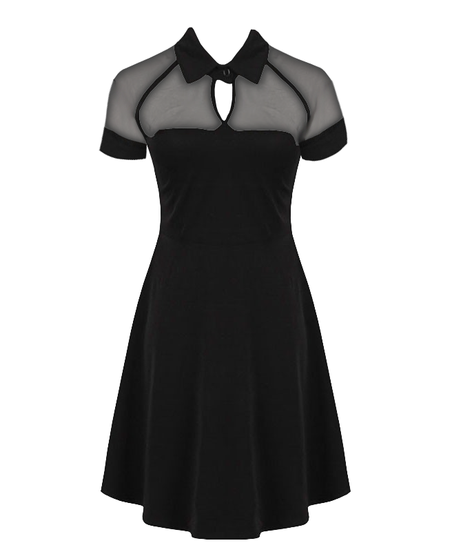 Collared Skater Dress with Mesh Panels