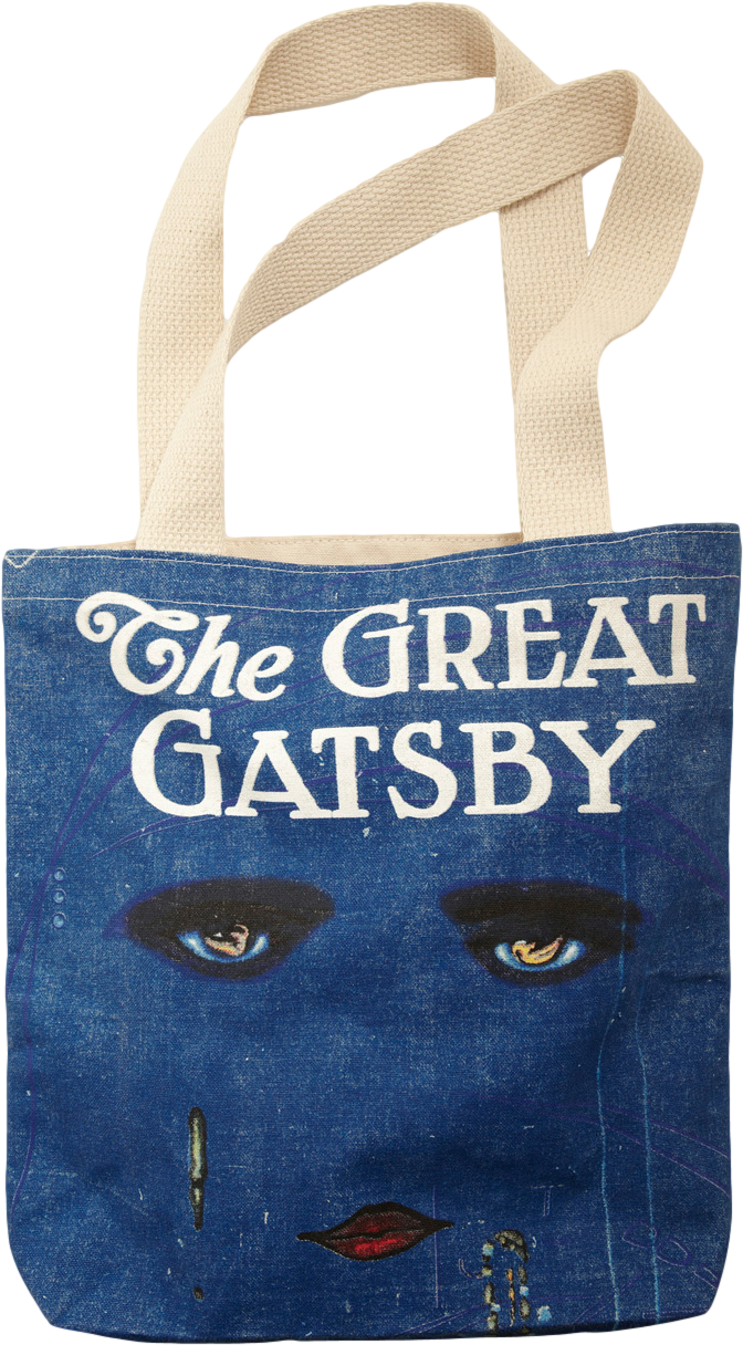 Bookshelf Bandit Tote in Jay